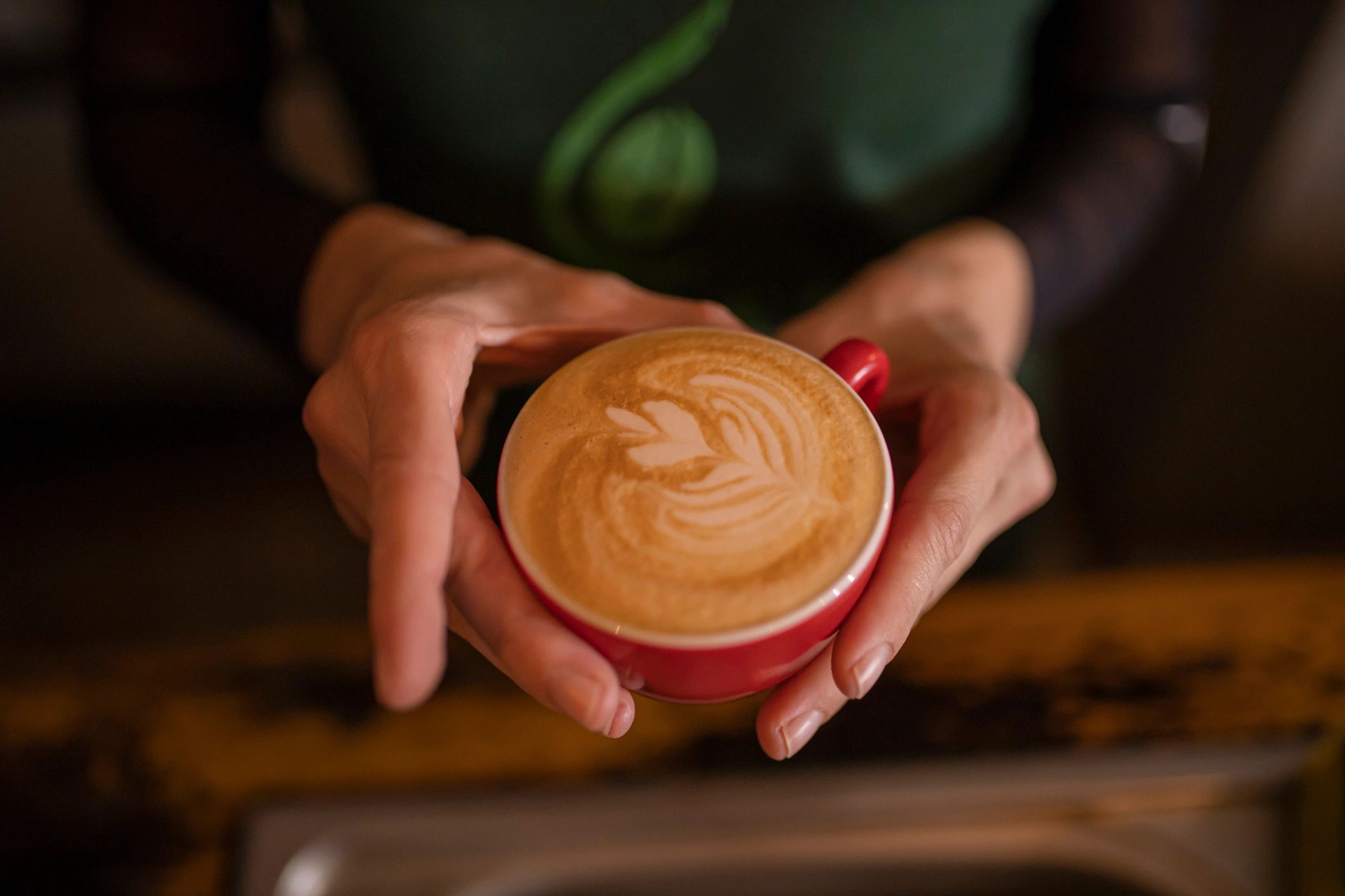 Hands holding a cup of coffee