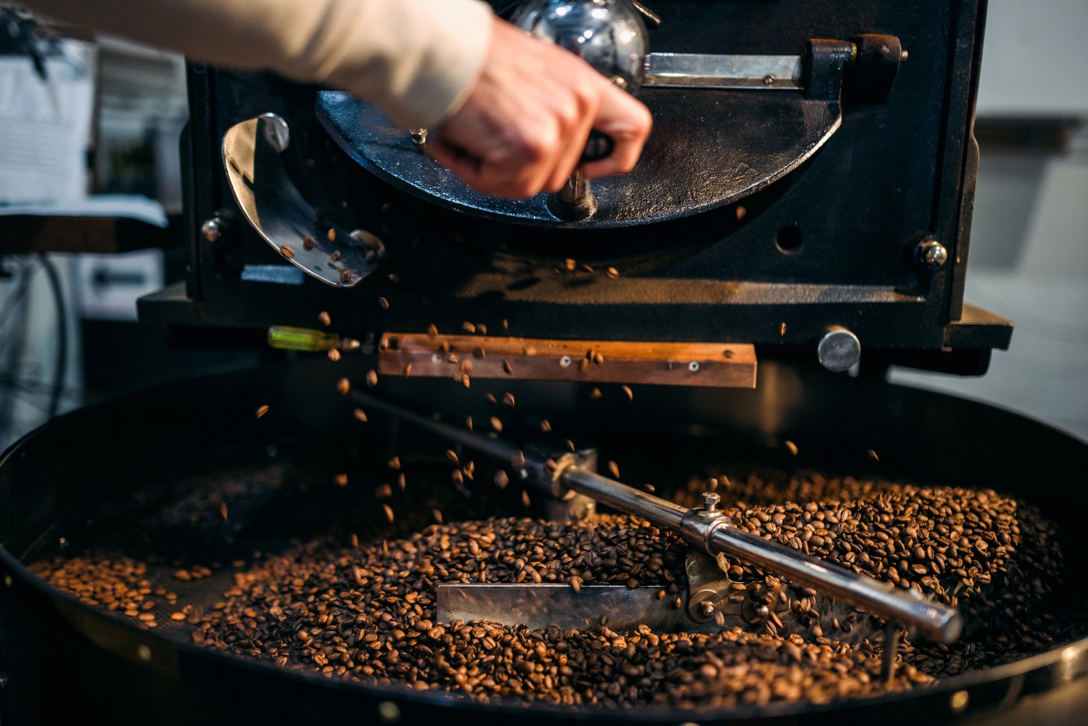 Coffee roaster tending beans during the roasting process