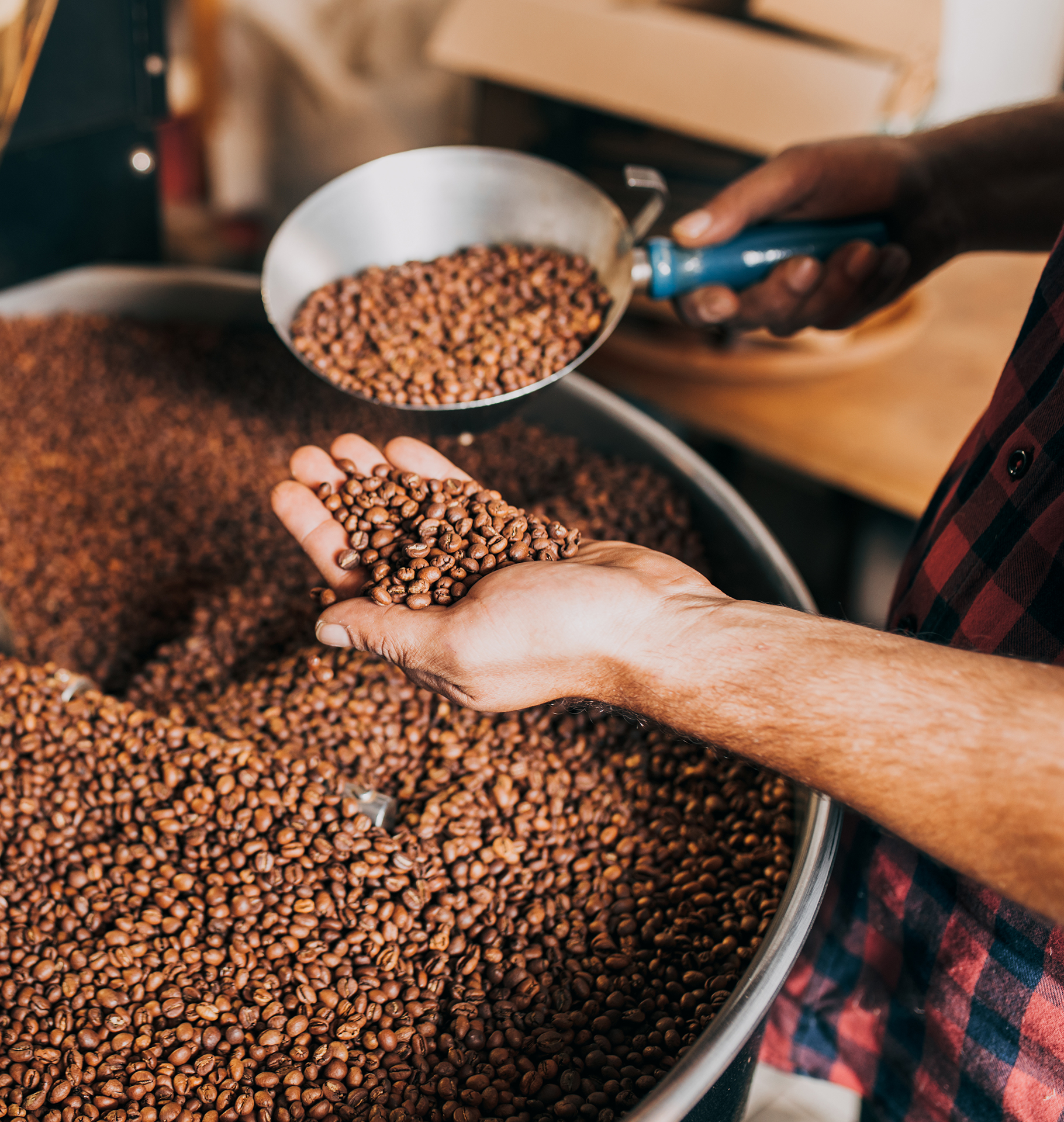 Beans, Grounds, or Pods: Which Coffee Option Fits Your Morning Best?